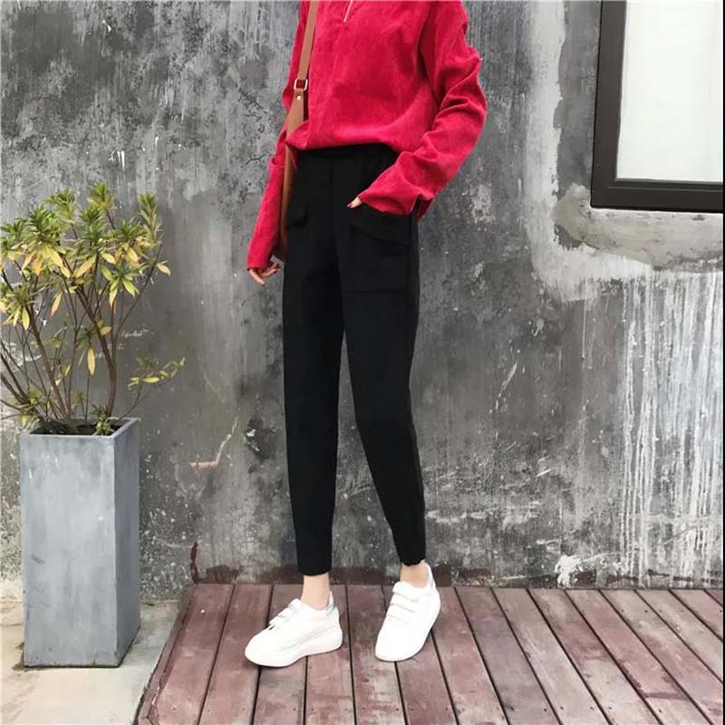 Harem Pants Women's Autumn and Winter New Styles Plus Velvet Thick Woolen Trousers Beam Pants Radish Pants Loose and Thin Net Red Granny Pants