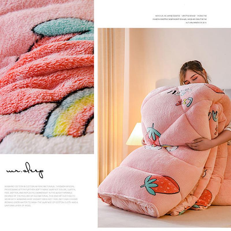 Super Warm Lamb Quilt Winter Blanket 5Kg Double-sided Velvet Quilt Thickened Warm Plush Comforter Core