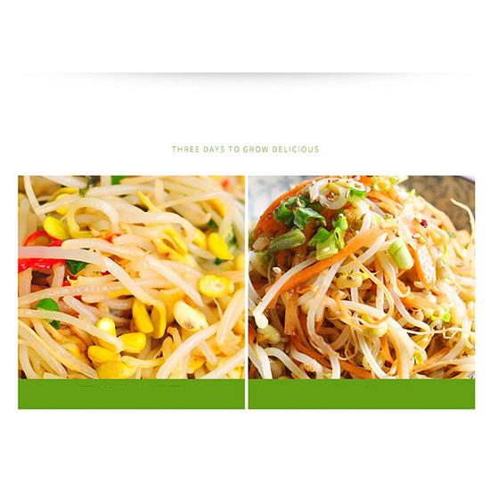 2/3 Layer Automatic Bean Sprout Machine Homemade Sprout Bud Machine Bean Sprouts Maker Seeds Growing