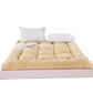 Thickening Plus Velvet Warmth Non-slip Folding Dormitory Mattress Household Sleeping Pad Quilt