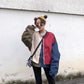 Spring and Autumn Baseball Uniform Women's Sports Zipper Loose All-match Short Jacket Student Casual Jacket Top Fake Two Pieces