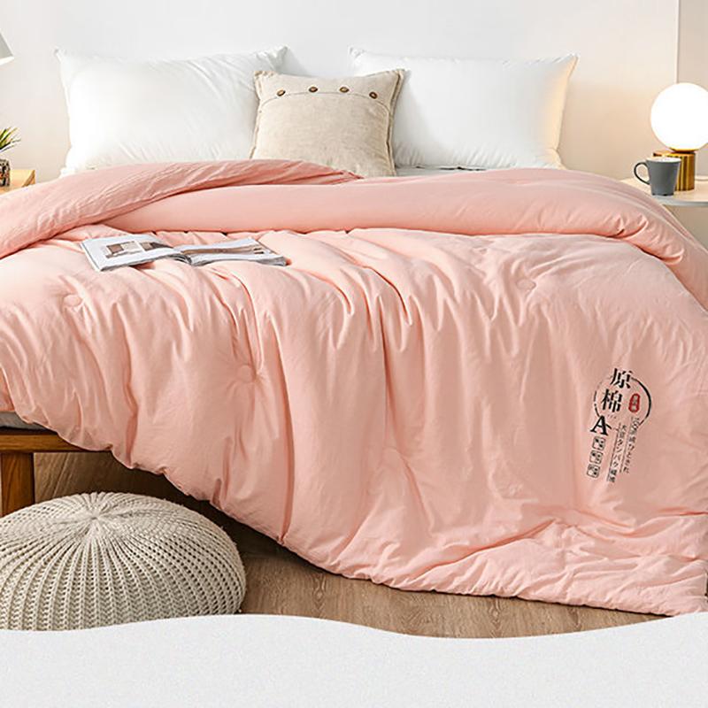 Skin-friendly Class A Antibacterial Soy Quilt Four Seasons Single Double Winter Quilt Core Spring and Autumn Was Taken By The Summer Dormitory