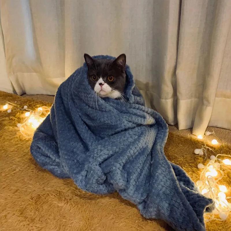 Pet Blanket Four Seasons Universal Dog Cushion Sleeping Quilt To Keep Warm In Winter Kennel Blanket Autumn and Winter Sleeping Pad Cat Cotton Pad