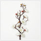 Plum Blossom Simulation Flower Winter Plum Fake Flower Chinese Home Decoration Silk Flower Living Room Decoration Plastic Flower Branch