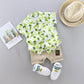 Children's Clothing Boys' Middle and Small Children's Set 1-4 Year Old Baby Stand Collar Leaf Animal Shirt Shorts Suit