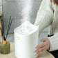 2300ml Double Nozzle Air Humidifier Night Light 24h USB Sprayer Silent Aroma Diffuser for Home Office