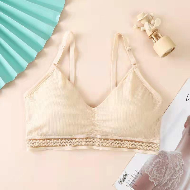 Spring and Summer Thin Ice Silk Lace Sexy No Steel Ring Wrapped Chest Beautiful Back Gathered Bottoming Women's Underwear Bra