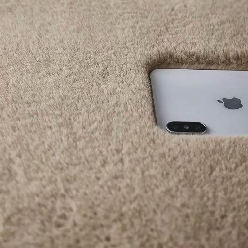 Thicken Encrypted Rabbit Fur Carpet for Bedroom Living Room Home Simple Room Mat
