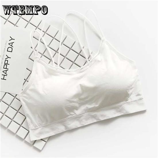 Women Zipper Push Up Sports Bras,Plus Size XL Padded Wirefree Breathable Sports Tops Fitness Gym