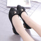Spring and Summer Pumps Women's Pointed Toe Low-heeled Shoes Korean Style Thick-heeled Work Shoes