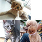Dog Collars Small Dogs Teddy Pomeranian Corgi Dog Bell Collars Pet Supplies Cat Collars PU Leather Adjustable Size Collar Paw Bone Collar Pet Neckwear
