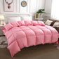 Winter White Goose Down Duvet Thickened Warmth Double Quilt Single Dormitory Quilt Large Soft and Comfortable Duvet
