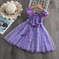 Frozen Children's Skirt Purple Long-haired Princess Dress Fluffy Net Gauze Festival Piano Performance Dress