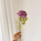 Coke Edge Imitation Dried Flower Rose Flower Korean Light Luxury Decoration Decoration Dining Room Fake Flower Simulation Flower Home Bouquet