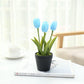 Fake Flower Tulip Bonsai Simulation Flower Creative Home Interior Dining Table Living Room Decoration Simulation Plant Artificial Flower