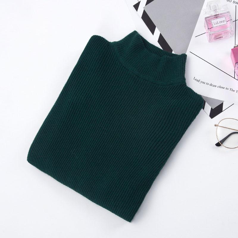 Women Sweaters 2019 Autumn Winter Turtleneck  Knitted Sweater Casual Soft Pullovers Ladies Jumper