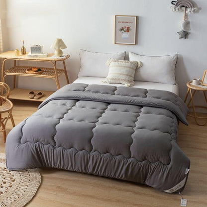 Home Thick Warm Quilt Four Seasons Student Futon Spring and Autumn Quilt Bedding Summer Cool Air Conditioning Quilt