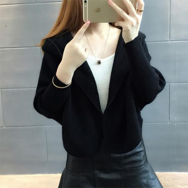 Hooded Sweater Winter Thickening Long-sleeved Loose Casual Fashion Bat Shirt Blouse