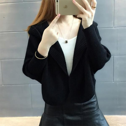 Hooded Sweater Winter Thickening Long-sleeved Loose Casual Fashion Bat Shirt Blouse