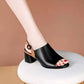 Fashion Fish Mouth Sandals Summer All-match One-word Buckle Women's Shoes Mid-heel Thick Heel Back Empty Roman Shoes