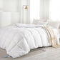Five-star Hotel Winter Quilt Spring and Autumn Thickened Warm Quilt Student Dormitory Air-conditioned Cotton Quilt