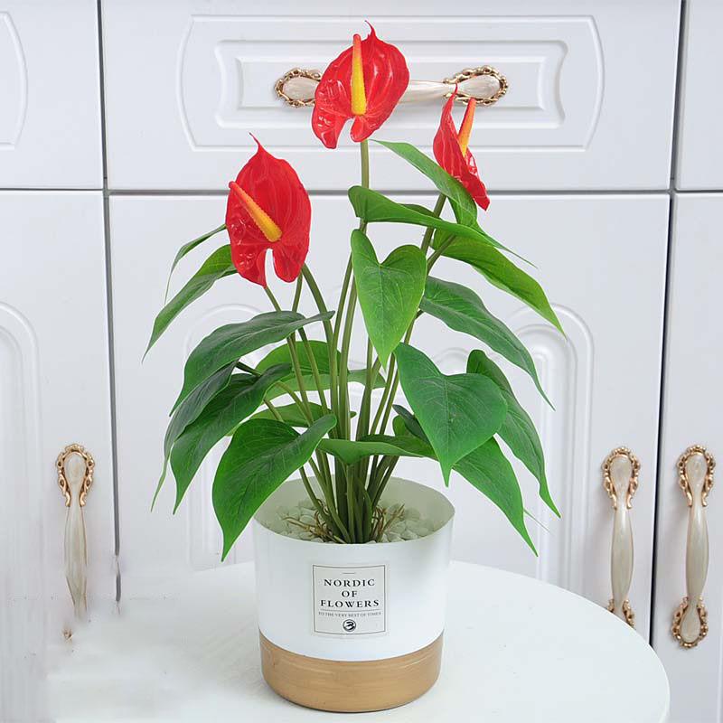 Nordic Wind Simulation Plant Bonsai Turtle Back Leaf Indoor Potted Desktop Artificial Flower Decoration Simulation Flower Green Plant Decoration