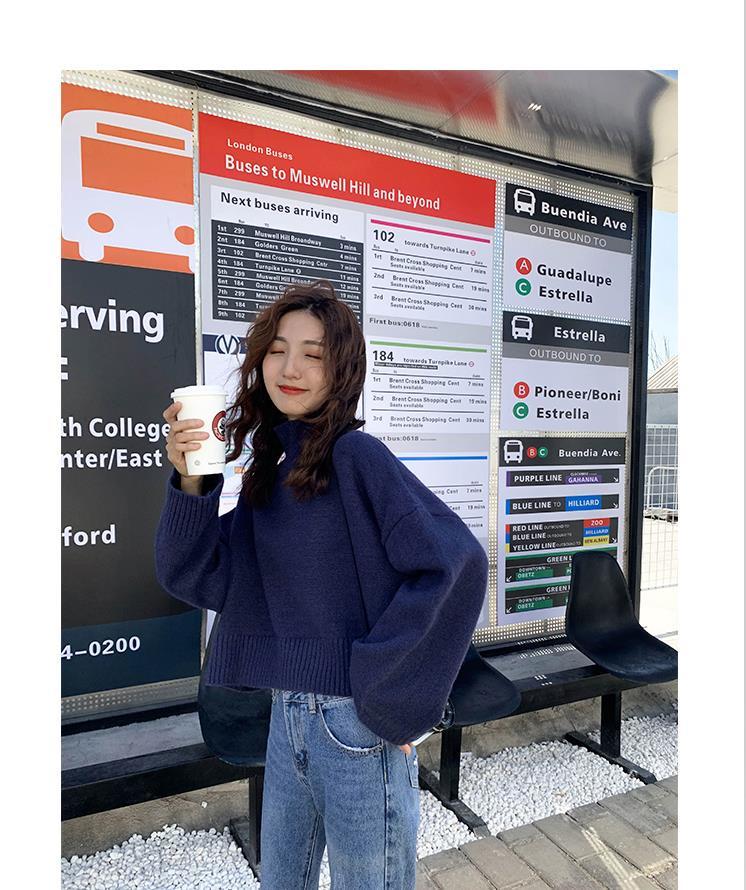 Autumn and Winter Half Turtleneck Sweater Short Padded Bottoming Shirt Loose Casual Young Women's Top