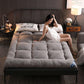 Winter Bedroom Lamb Velvet Household Sleeping Mat Comfortable Warm Bed, Student Dormitory Thick Cushion