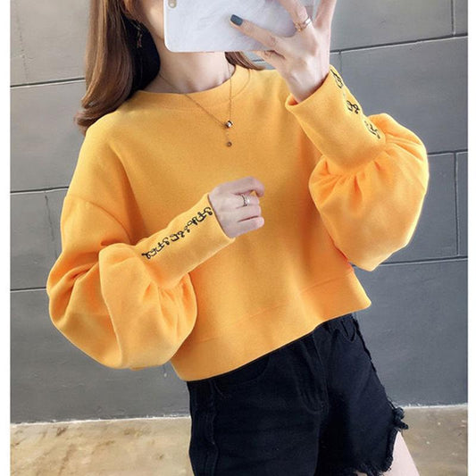 Fall/winter Loose Embroidered Blouse Short Warm Sweater High-waist College Style Jacket Women
