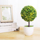 Home Garden Decor Fashion Multicolor Artificial Plastic Plant Bonsai
