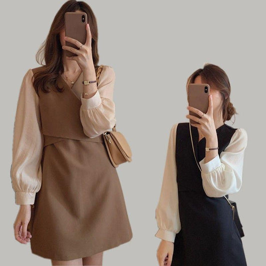 Chiffon Dress Women's Summer Dress long Sleeve Knee-length Daily Wear Office Dating Party
