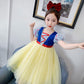 Children Girls Dresses Girls Prom Princess Dress Kids Baby Gifts Instant Party Clothes Fancy Girly Costumes