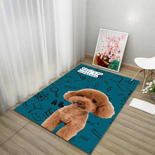 Pet Mat Cat Dog Universal Spring and Summer Autumn and Winter Four Seasons Universal Bite Carpet Floor Mat Sleep