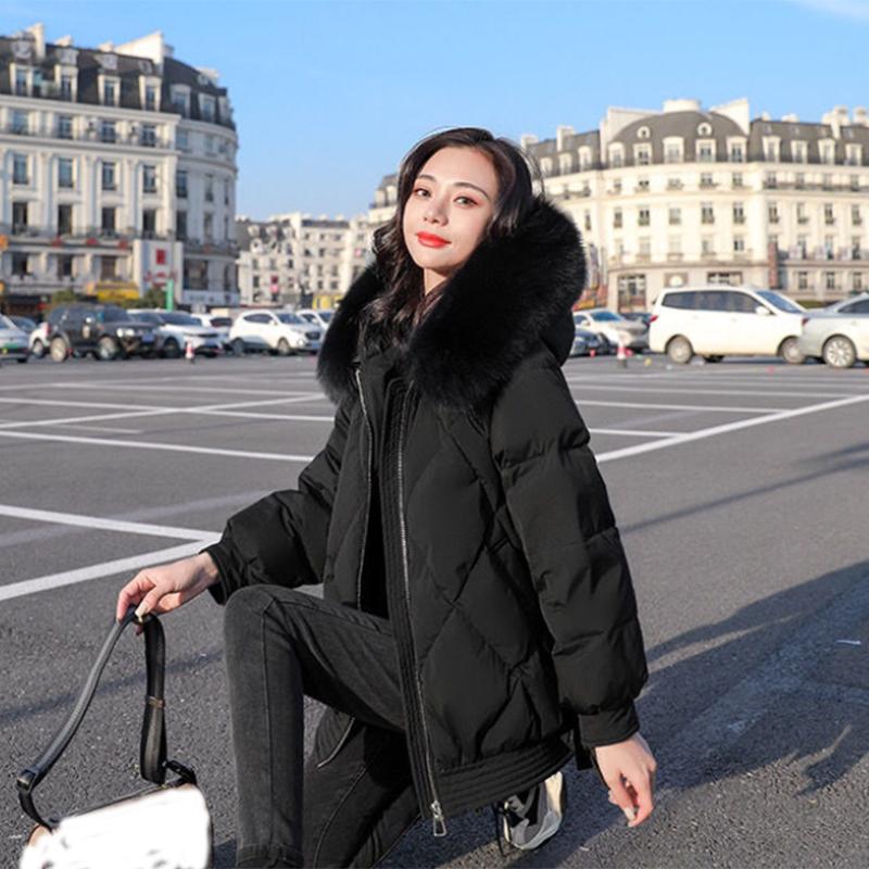 Women's Solid Color Down Jacket Regular Korean Loose Thick Coat Warm Cotton Coat Big Fur Collar Winter Clothes Quilted Coat