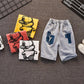 Summer Children's Set Pure Cotton Short Sleeve 2-piece Clothes Boy's Clothing Set Baby Toddler Clothing for Boy