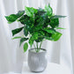 Nordic Wind Simulation Plant Bonsai  Artificial Flower Decoration Simulation Flower Green Plant Decoration Turtle Back Leaf Indoor Potted Desktop