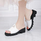 Ladies Summer Sandals and Slippers All-match Outer Wear Wedge Heel Fashion Trend Non-slip Beach Shoes