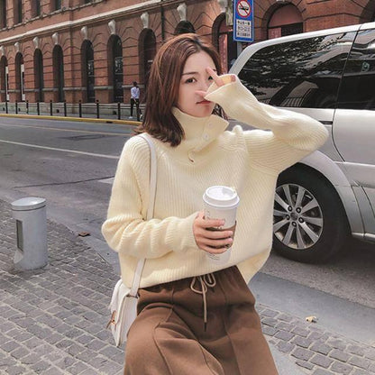 Autumn Winter Turtleneck Rabbit Villus Sweater Simple Women Long-sleeved Slim Sweaters