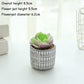 Artificial Flower Simulation Succulent Plant Potted Mini Green Plant Simulation Plant Small Flower Bonsai Desktop Restaurant Simulation Flower