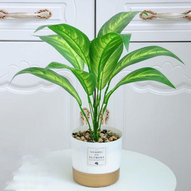 Nordic Wind Simulation Plant Bonsai Turtle Back Leaf Indoor Potted Desktop Artificial Flower Decoration Simulation Flower Green Plant Decoration