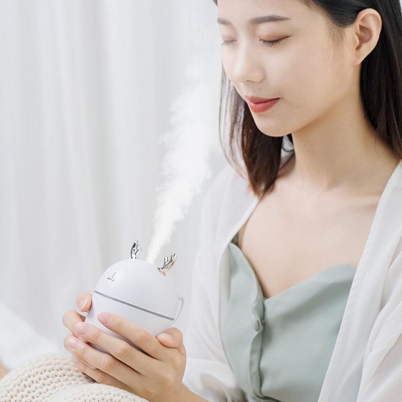 Portable Air Humidifier Home Bedroom Mini Spray Large Capacity Mute Office Spray Car Aromatherapy