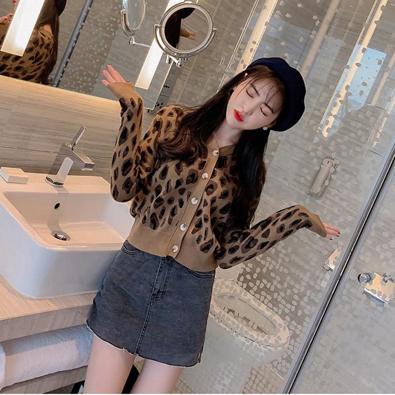 Spring and Autumn Leopard Print Knit Thin Jacket Slim Short Knit Casual Blouse