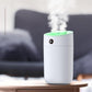 3000ml Double Nozzle Indoor Air Humidifier USB Electric Sprayer Mute Aroma Diffuser Night Light 24h