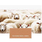 Vintage Ethnic Style Printed Woolen Sweater Women Loose O-Neck High-end Cashmere Sweater Wool Knit  Jumper Top