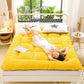 Winter Milk Velvet Mattress Household Sleeping Mat Bed Mattress Mat Double Dormitory Thickening Single Upholstery