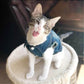 Denim Cat Clothes for Cats Fashion Cat Coat Jacket Warm Outfits Lovely Pet Cat Clothing Casual Jeans Outfits for Dogs Costume