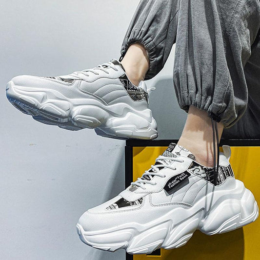 Spring Autumn New Trend Thick-soled Height-increasing Shoes Casual All-match Sports Style Men's Old Shoes