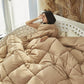 Five-star Hotel Special Down Quilt Winter Thickening Home White Goose Down Spring and Autumn Quilt for Students
