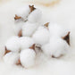 Sheets, Single-piece Cotton Sheets Warm Bedding Cotton Double Three-piece Set Autumn and Winter Dormitory Can Be Washed