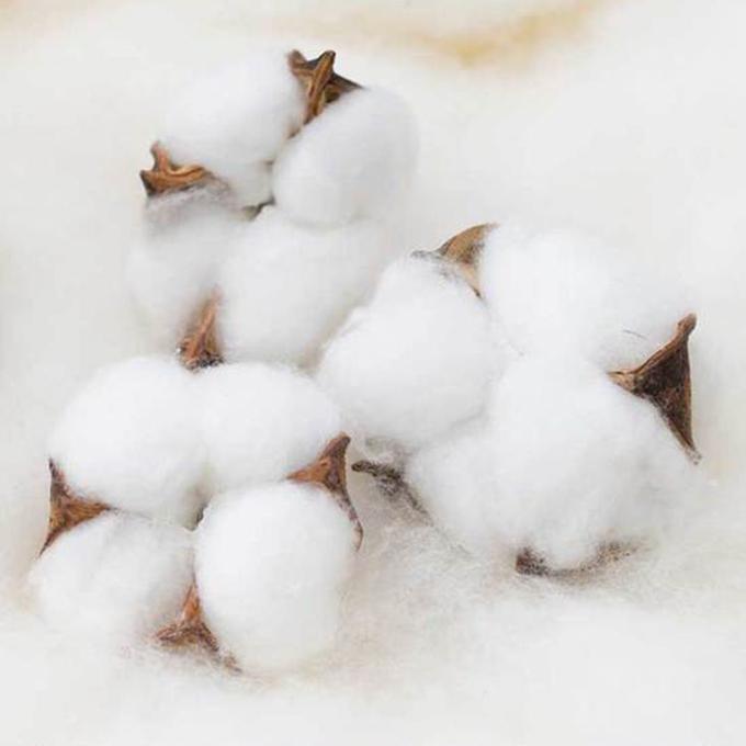 Three-piece Suit One Bed Sheet Two Pillowcases Home Textiles Coarse Cloth Cotton Fabric Sweat-absorbent Breathable Warm Washable